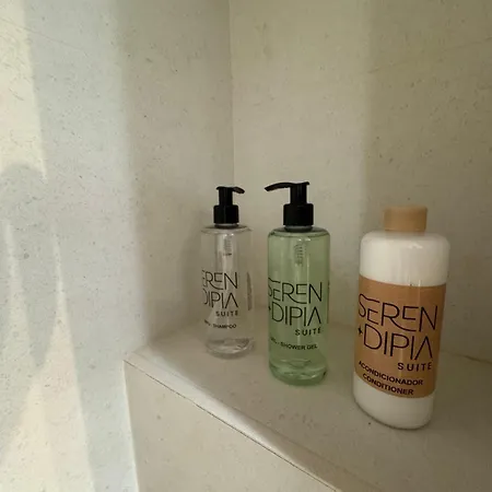 Serendipia アパート グラナダ