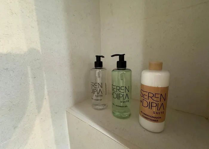 Serendipia Διαμέρισμα Γρανάδα